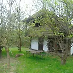Rigó 3*