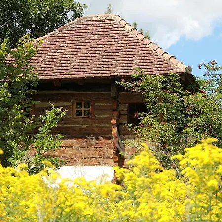 Rigo Vendeghaz Pensiune